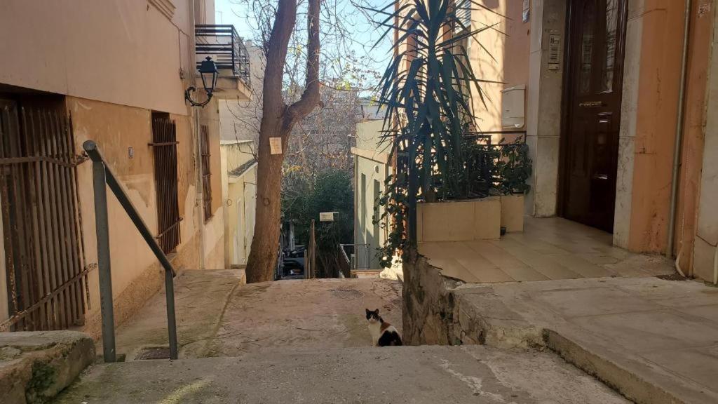 Athens City Center Luxury Suites Kültér fotó